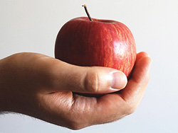 サンふじ 特選品 LLサイズ14