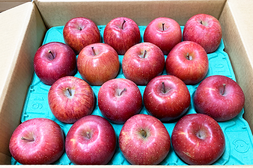 サンふじ Aランク Lサイズ16